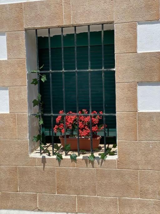 El Rincon Del Rey Apartman Torrejón del Rey Kültér fotó